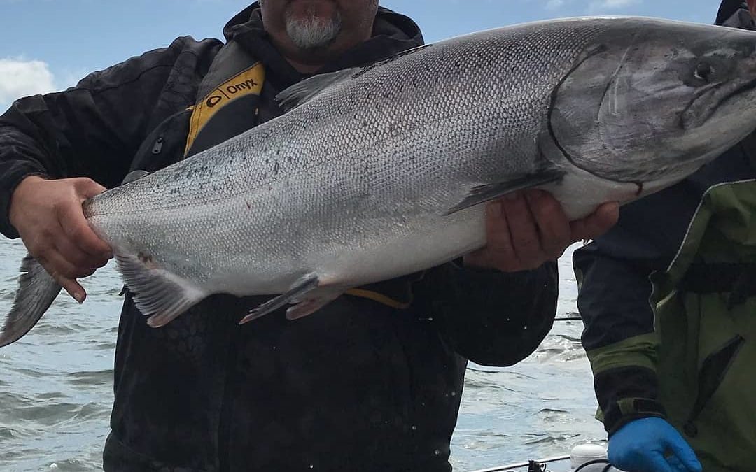 2021 Mid October Salmon Fishing